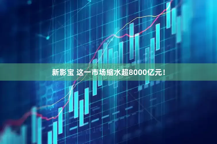 新影宝 这一市场缩水超8000亿元！