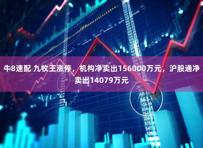 牛8速配 九牧王涨停，机构净卖出156000万元，沪股通净卖出14079万元